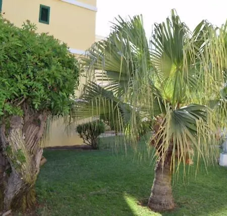 Tara Apartman *