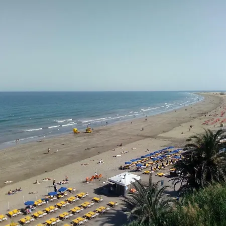 Tara פלאייה דל אינגלז